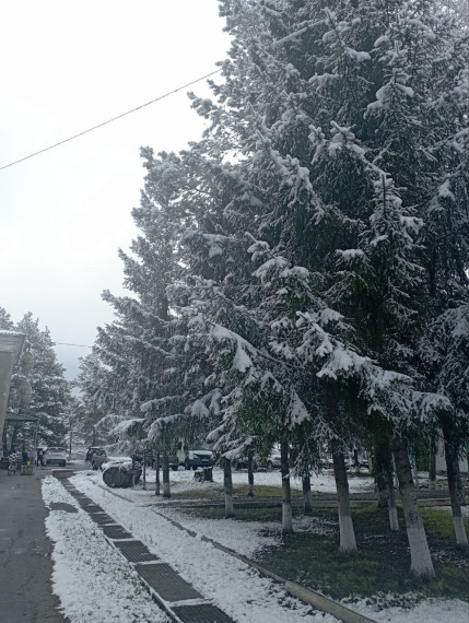 С добрым утром.